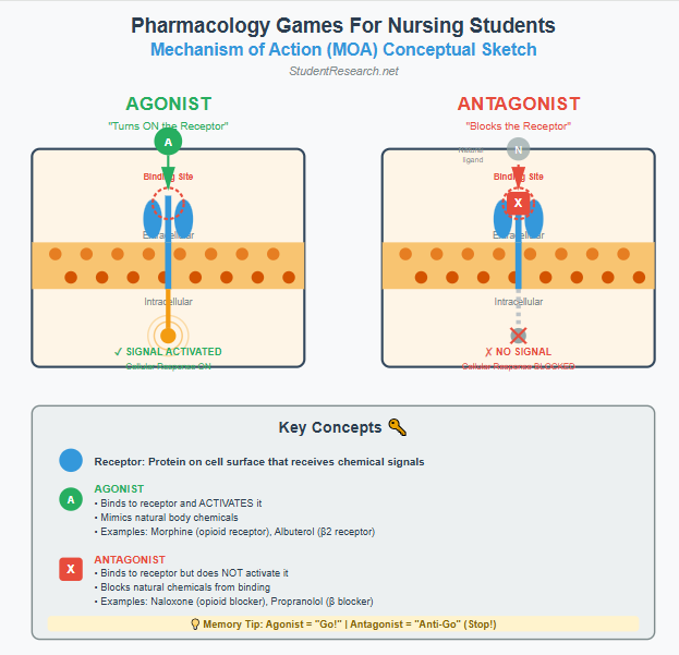 Pharmacology Games for Nursing Students- Mechanism of Action (MOA) Conceptual Framework