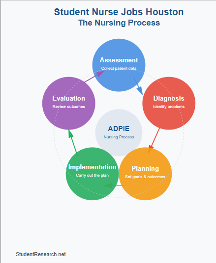 Student Nurse Jobs Houston- The Nursing Process.