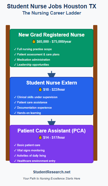 Student Nurse Jobs Houston Tx -The Nursing Career Ladder