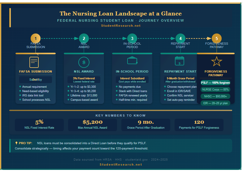 federal nursing student loan-The Nursing Student Loan Landscape at a Glance.