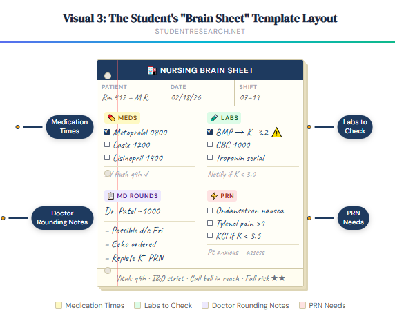 what do nursing students do in clinicals- The Students Brain Sheet Template Layout.